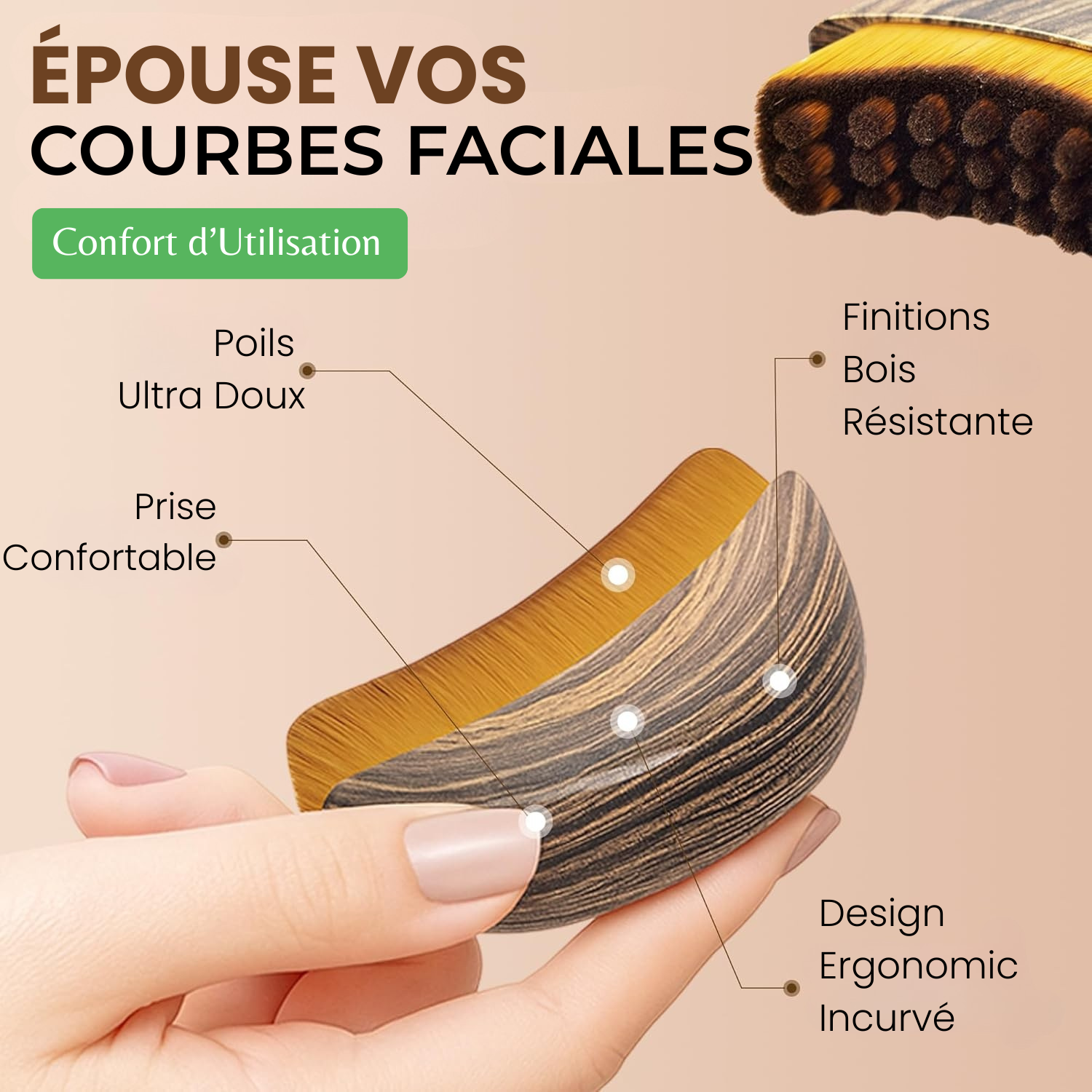 Brosse Miyo bénéfice 2